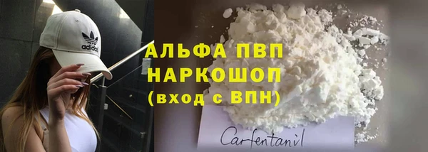 хмурый Алзамай