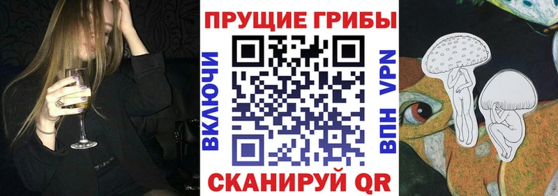 блэк спрут зеркало  Полысаево  Псилоцибиновые грибы ЛСД 