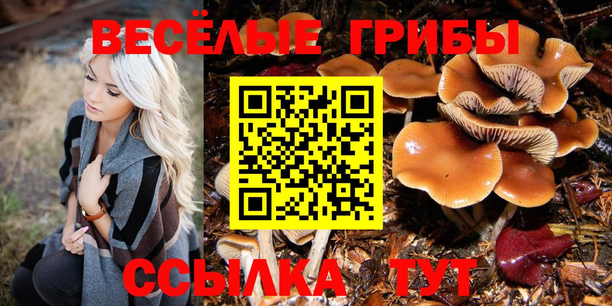 Галлюциногенные грибы Magic Shrooms Полысаево